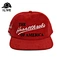 Customized 3D embroidered hat